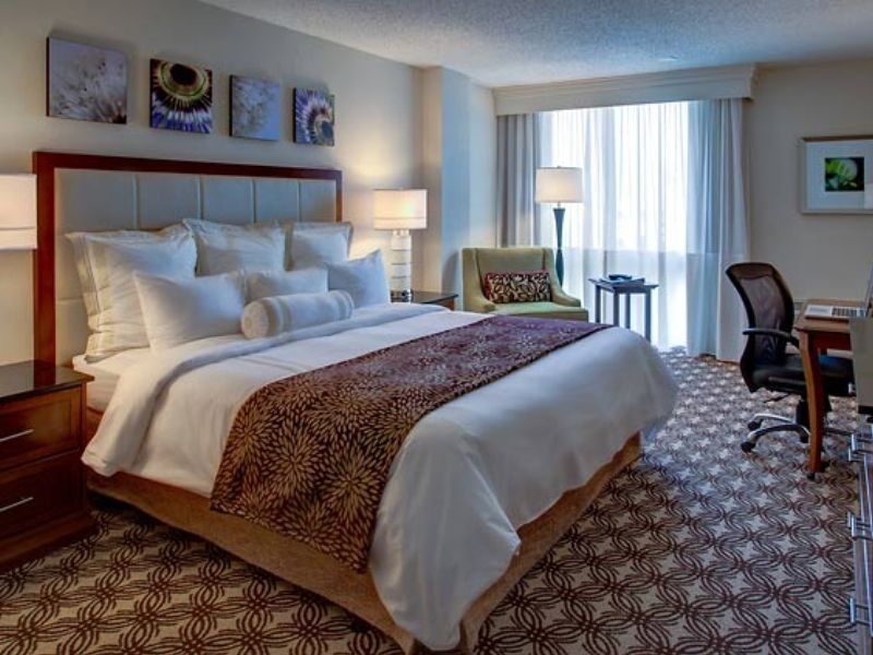Houston Marriott North Hotell Rum bild